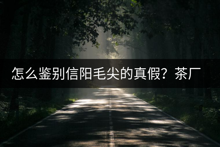 怎么鑒別信陽(yáng)毛尖的真假？茶廠小姐姐親自告訴你茶葉的等級(jí)