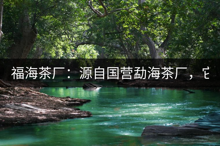 福海茶廠：源自國營勐海茶廠，它是99易武綠星星之母