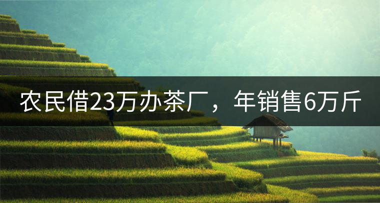 農(nóng)民借23萬(wàn)辦茶廠，年銷售6萬(wàn)斤，每天休息僅20分鐘!農(nóng)民借23萬(wàn)辦茶廠，年銷售6萬(wàn)斤，每天休息僅20分鐘！