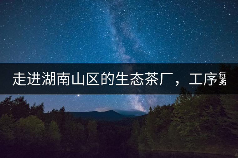 走進(jìn)湖南山區(qū)的生態(tài)茶廠，工序繁雜精細(xì)，538塊錢1斤真值走進(jìn)湖南山區(qū)的生態(tài)茶廠，工序繁雜精細(xì)，538塊錢1斤真值