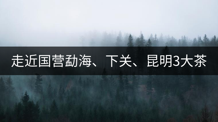 走近國(guó)營(yíng)勐海、下關(guān)、昆明3大茶廠，傳世代表作的發(fā)展詳...走近國(guó)營(yíng)勐海、下關(guān)、昆明3大茶廠，傳世代表作的發(fā)展詳解
