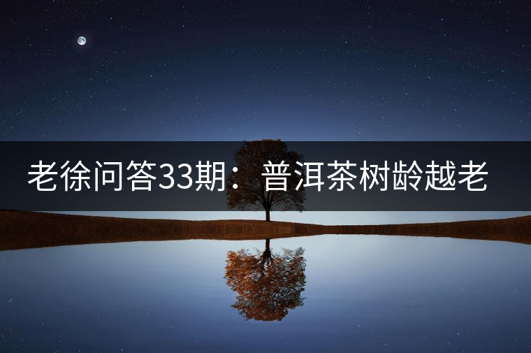 老徐問答33期：普洱茶樹齡越老越貴，那100年樹齡的老班章呢？