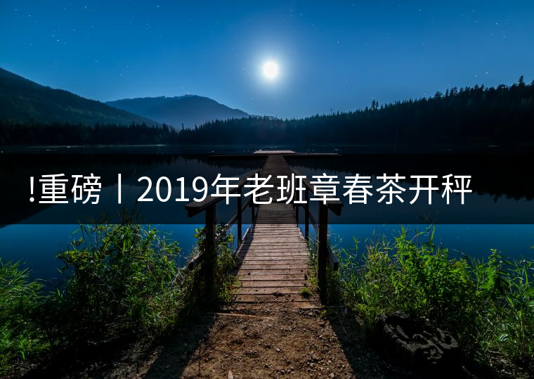 !重磅丨2019年老班章春茶開秤，一筆定價(jià)？如此出人意料！