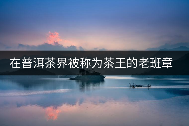 在普洱茶界被稱為茶王的老班章，為何有人愛有人恨？