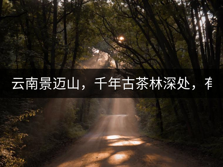 云南景邁山，千年古茶林深處，有一座世外桃源般的糯...云南景邁山，千年古茶林深處，有一座世外桃源般的糯干古寨