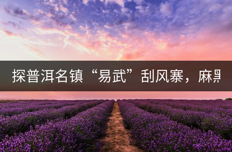 探普洱名鎮(zhèn)“易武”刮風(fēng)寨，麻黑，落水洞!小編親自下...探普洱名鎮(zhèn)“易武”刮風(fēng)寨，麻黑，落水洞！小編親自下手“殺青”