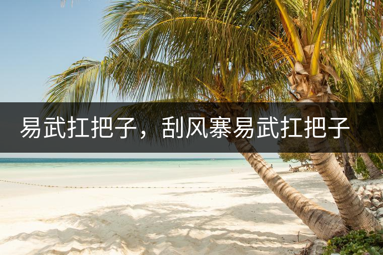 易武扛把子，刮風(fēng)寨易武扛把子，刮風(fēng)寨