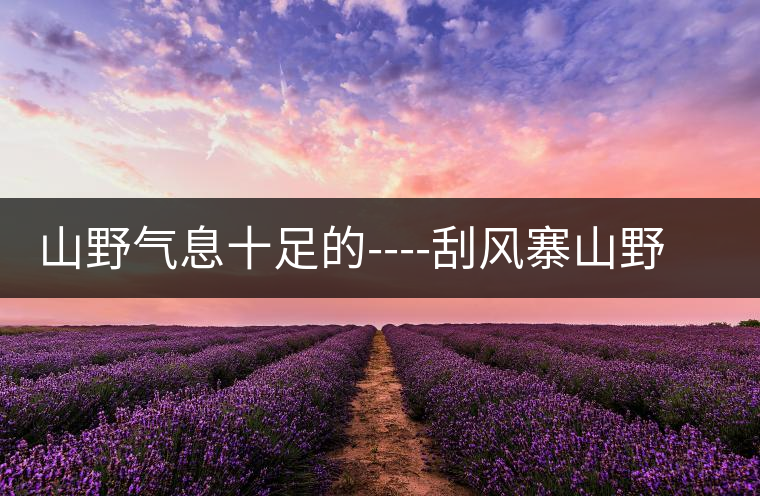 山野氣息十足的----刮風寨山野氣息十足的————刮風寨 山野氣息十足的----刮風寨山野氣息十足的————刮風寨