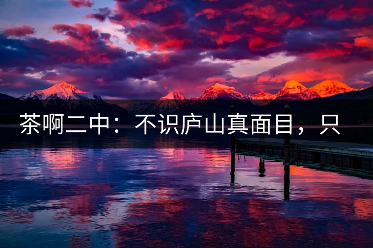 茶啊二中：不識(shí)廬山真面目，只識(shí)彎弓射大雕，賈淳真搞笑