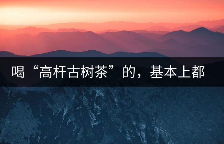 喝“高桿古樹茶”的，基本上都是不懂茶的