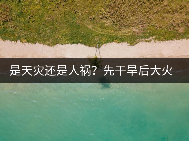 是天災(zāi)還是人禍？先干旱后大火，普洱茶將何去何從？