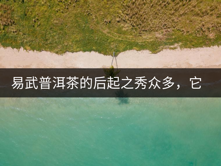 易武普洱茶的后起之秀眾多，它是還沒漲價(jià)的一個(gè)！