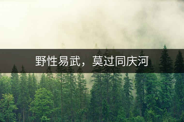 野性易武，莫過同慶河