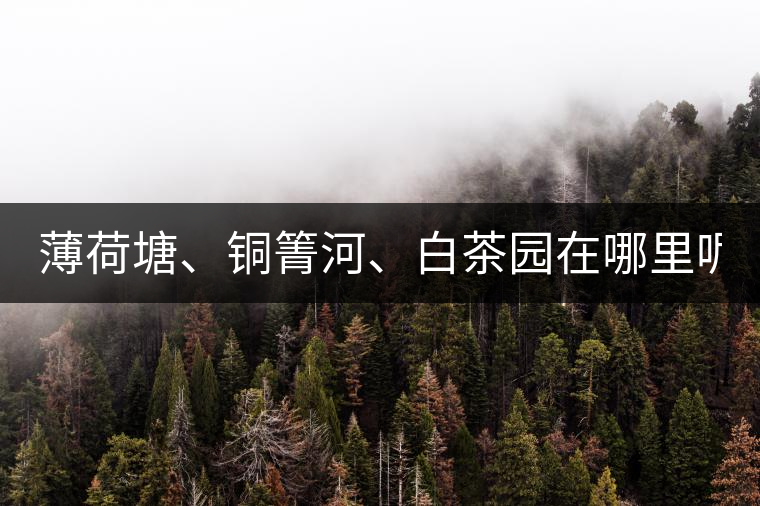 薄荷塘、銅箐河、白茶園在哪里呢?薄荷塘、銅箐河、白茶園在哪里呢？