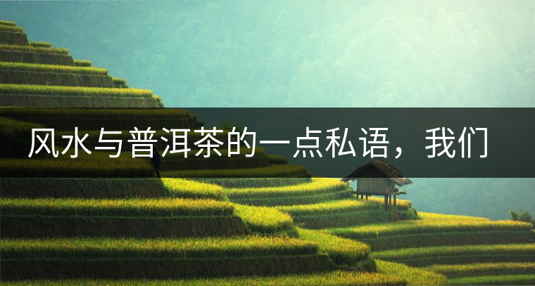 風(fēng)水與普洱茶的一點(diǎn)私語(yǔ)，我們形而上的聊一把