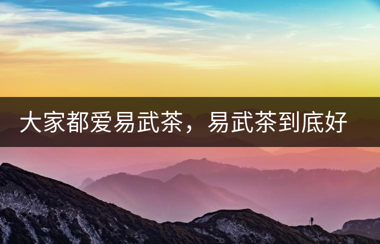 大家都愛易武茶，易武茶到底好在哪兒?大家都愛易武茶，易武茶到底好在哪兒？