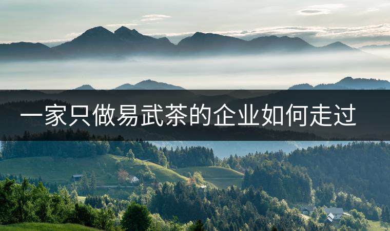 一家只做易武茶的企業(yè)如何走過了十年？