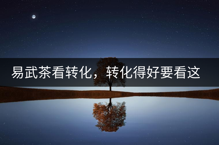 易武茶看轉(zhuǎn)化，轉(zhuǎn)化得好要看這三要素及品牌優(yōu)勢！