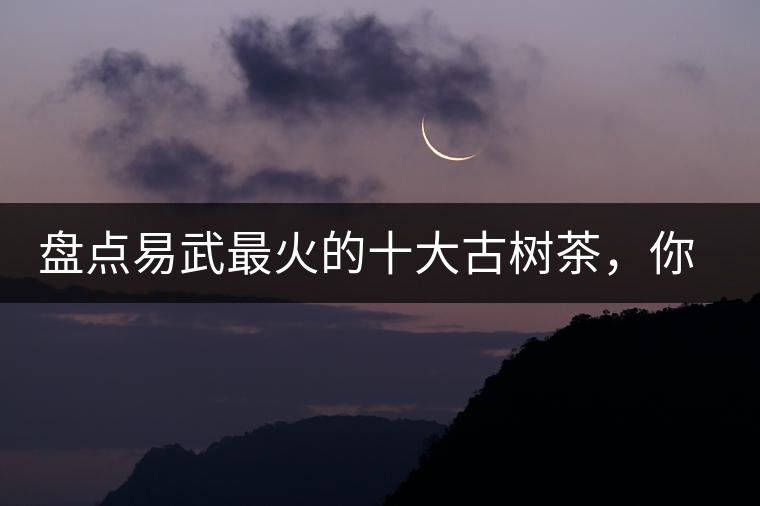 盤(pán)點(diǎn)易武最火的十大古樹(shù)茶，你喜歡哪款？