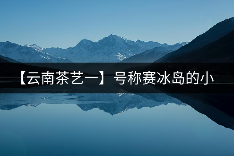 【云南茶藝一】號(hào)稱賽冰島的小戶賽憑什么！今天帶大家一起研究下