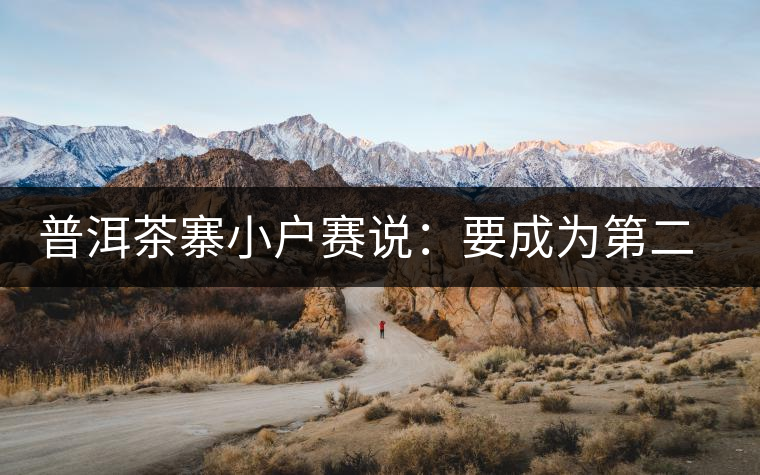 普洱茶寨小戶賽說：要成為第二個(gè)冰島，勐庫普洱茶圈都爆了！