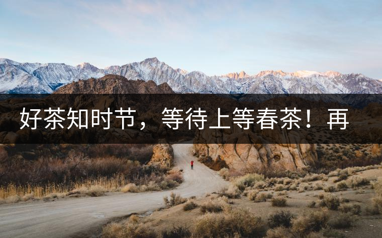 好茶知時節(jié)，等待上等春茶！再來回味這些年喝過的小戶賽古樹春茶