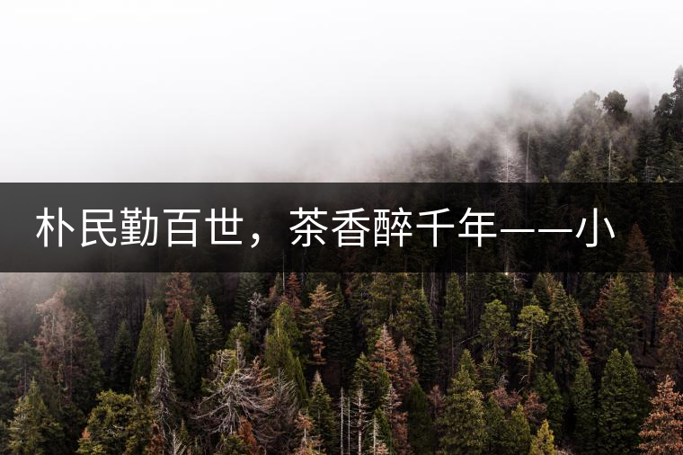 樸民勤百世，茶香醉千年——小戶賽古寨