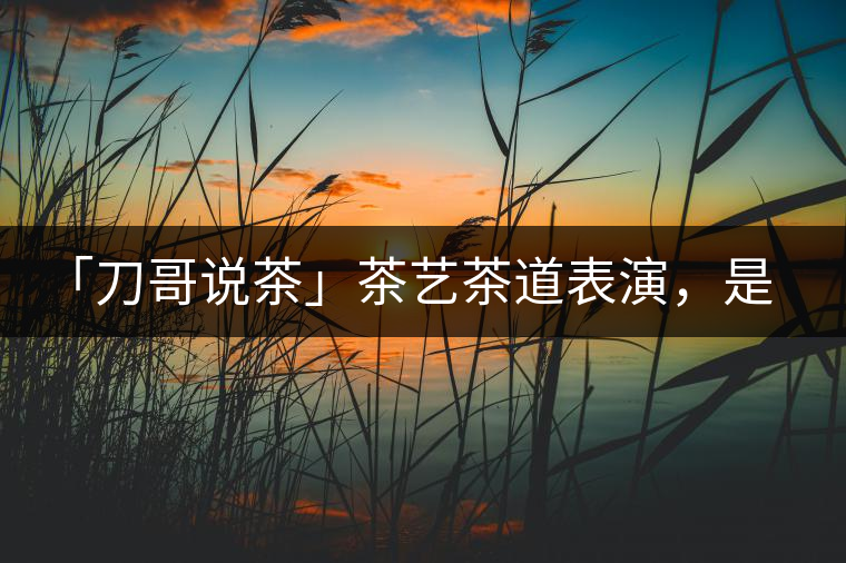 「刀哥說茶」茶藝茶道表演，是裝還是文化？