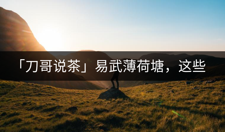 「刀哥說茶」易武薄荷塘，這些冷知識你該知道