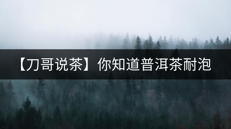 【刀哥說茶】你知道普洱茶耐泡，那你知道哪一類普洱茶比較耐泡？
