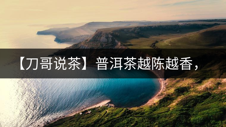 【刀哥說(shuō)茶】普洱茶越陳越香，為什么新茶更受歡迎？