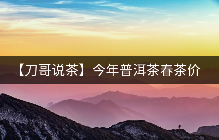 【刀哥說茶】今年普洱茶春茶價格，我不預(yù)測