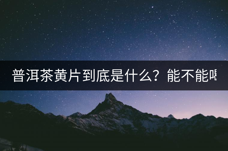 普洱茶黃片到底是什么？能不能喝？