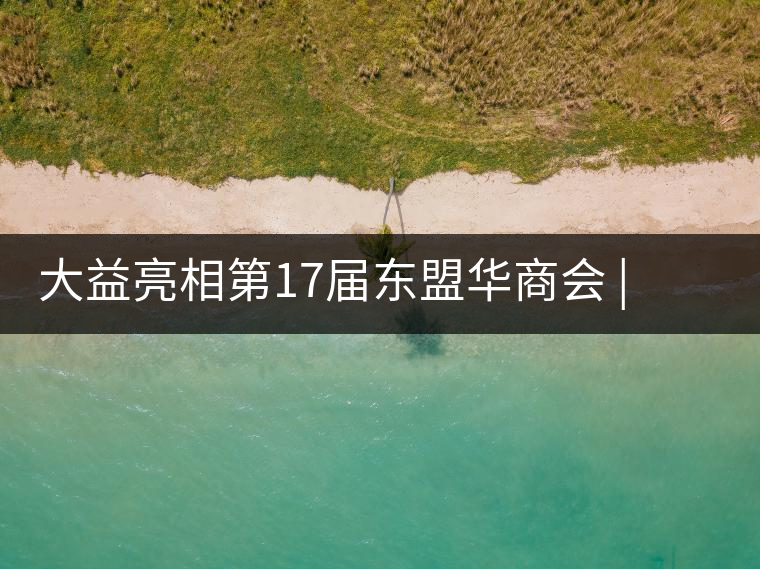 大益亮相第17屆東盟華商會(huì) | 海內(nèi)外嘉賓共謀發(fā)展，共品大益茶