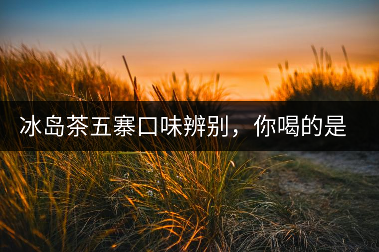 冰島茶五寨口味辨別，你喝的是正宗冰島茶嗎?冰島茶五寨口味辨別，你喝的是正宗冰島茶嗎？