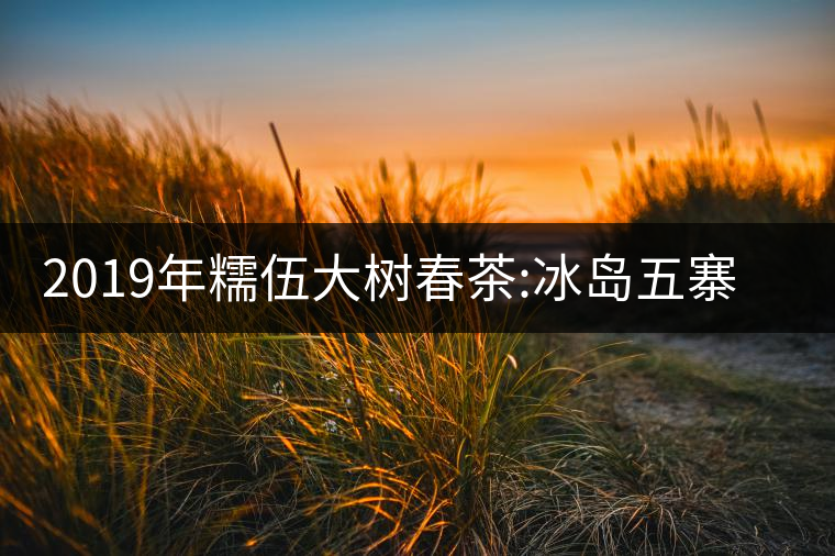 2019年糯伍大樹春茶:冰島五寨甜柔口感的代表，售價(jià)不...2019年糯伍大樹春茶：冰島五寨甜柔口感的代表，售價(jià)不到500