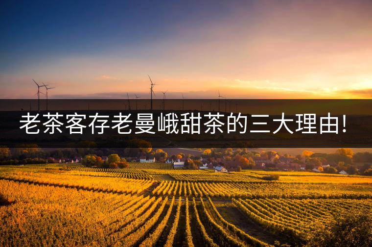 老茶客存老曼峨甜茶的三大理由!老茶客存老曼峨甜茶的三大理由！