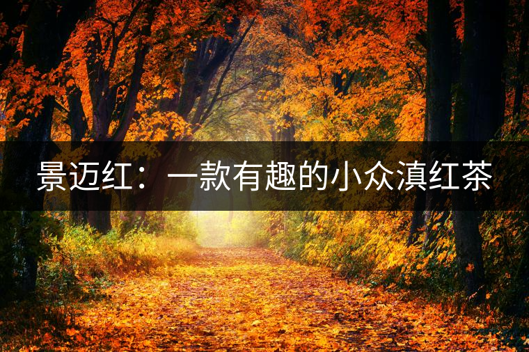 景邁紅:一款有趣的小眾滇紅茶 景邁紅:一款有趣的小眾滇紅茶