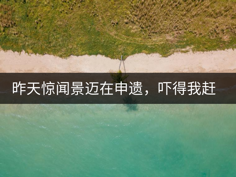 昨天驚聞景邁在申遺，嚇得我趕緊拿出景邁茶……昨天驚聞景邁在申遺，嚇得我趕緊拿出景邁茶……