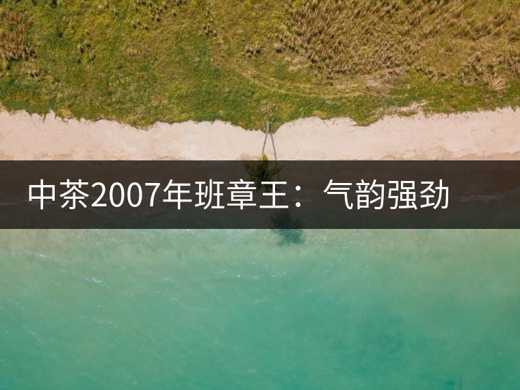 中茶2007年班章王：氣韻強(qiáng)勁，蜂蜜水般甜潤，一直被老茶客撿漏