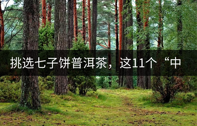 挑選七子餅普洱茶，這11個“中茶”標志千萬別弄混!挑選七子餅普洱茶，這11個“中茶”標志千萬別弄混！