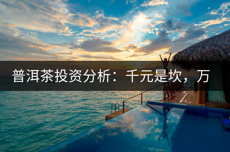 普洱茶投資分析：千元是坎，萬元是坑