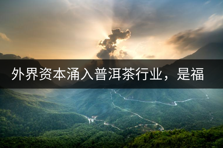 外界資本涌入普洱茶行業(yè)，是福還是禍？