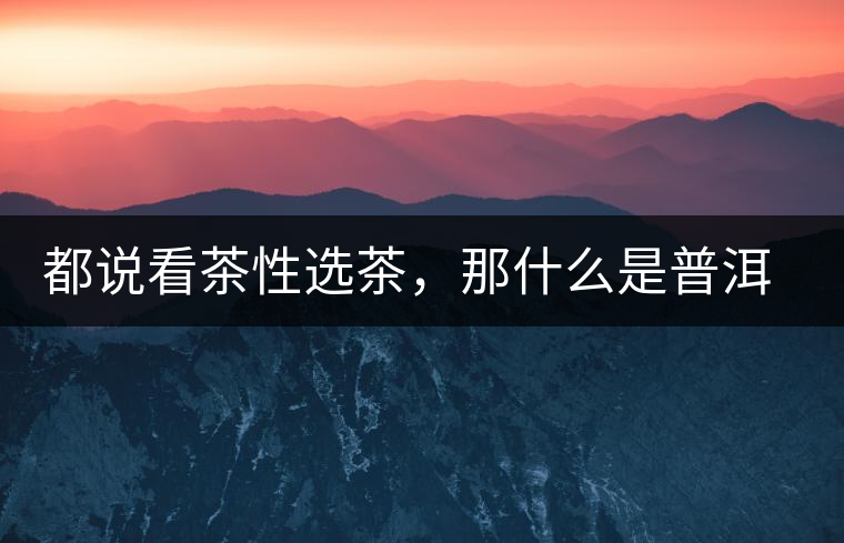 都說(shuō)看茶性選茶，那什么是普洱茶的“茶性”呢？