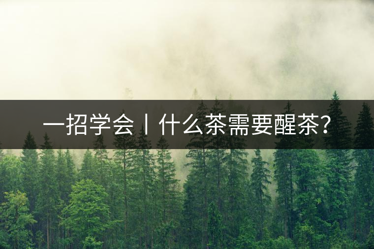 一招學(xué)會丨什么茶需要醒茶？