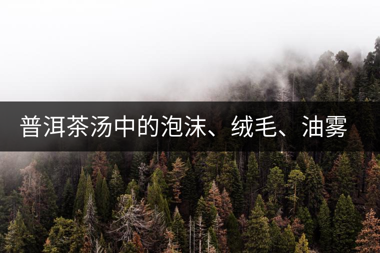 普洱茶湯中的泡沫、絨毛、油霧、絮狀物……原來是這些東西！