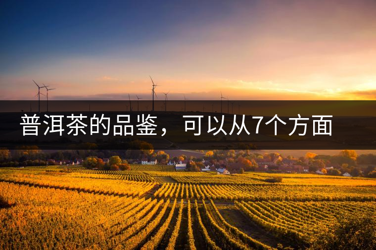 普洱茶的品鑒，可以從7個(gè)方面著手