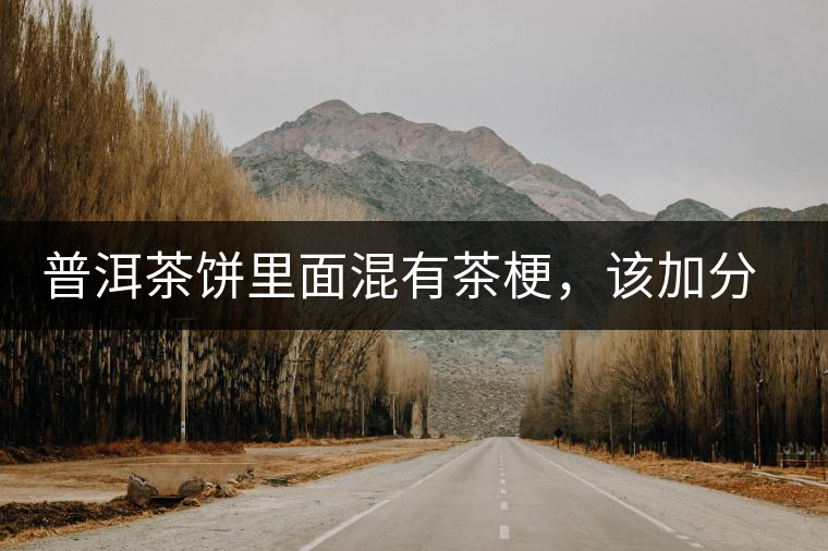 普洱茶餅里面混有茶梗，該加分還是減分？