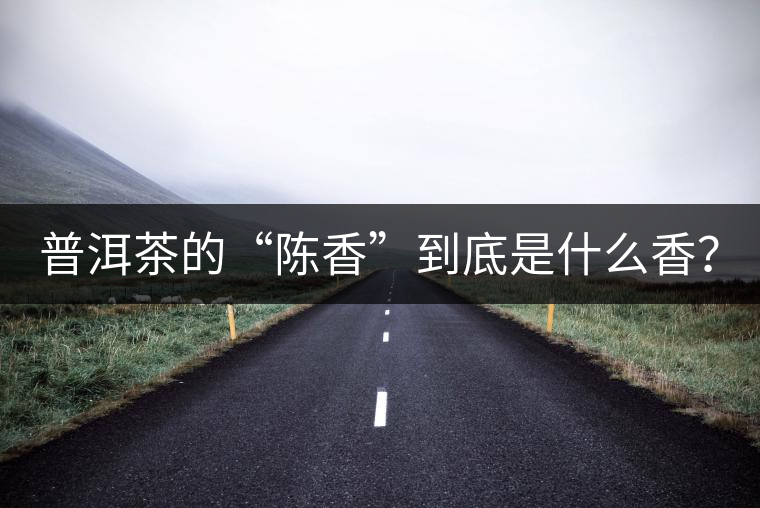 普洱茶的“陳香”到底是什么香？