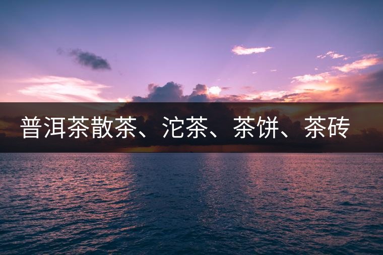 普洱茶散茶、沱茶、茶餅、茶磚哪種更好？